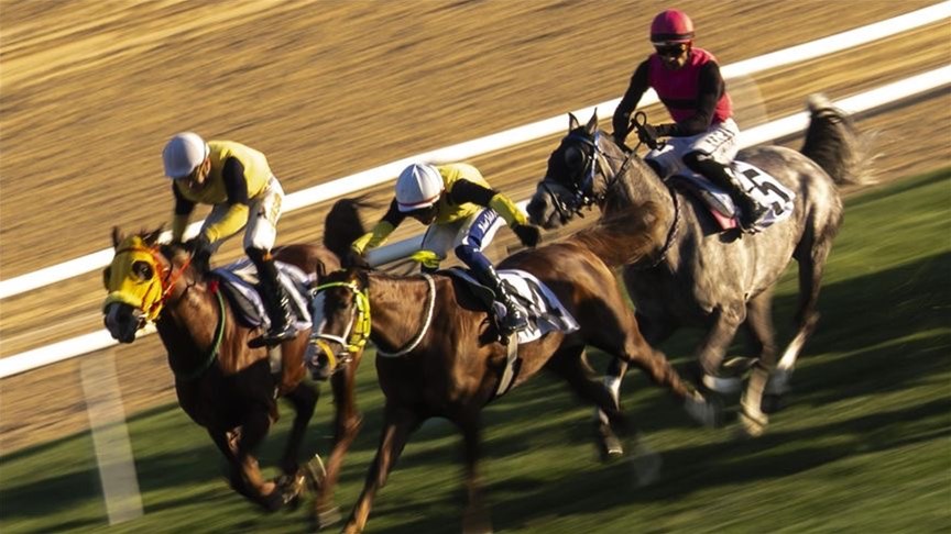 BAKAN BAK’TAN CUMHURBAŞKANLIĞI KOŞUSU İLE CUMHURİYET KOŞUSU’NU KAZANAN JOKEYLERE TEBRİK MESAJI