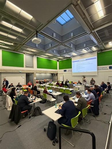 TÜRKİYE, AVRUPA KONSEYİ GENÇLİK ÇALIŞMALARINDAKİ ETKİNLİĞİNİ SÜRDÜRÜYOR