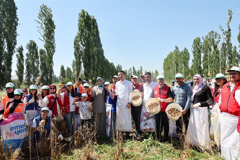 GÖNÜLLÜ GENÇLER HASAT İÇİN TARIM ALANLARINDA